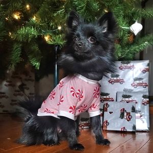 Pink peppermint Dog Shirts